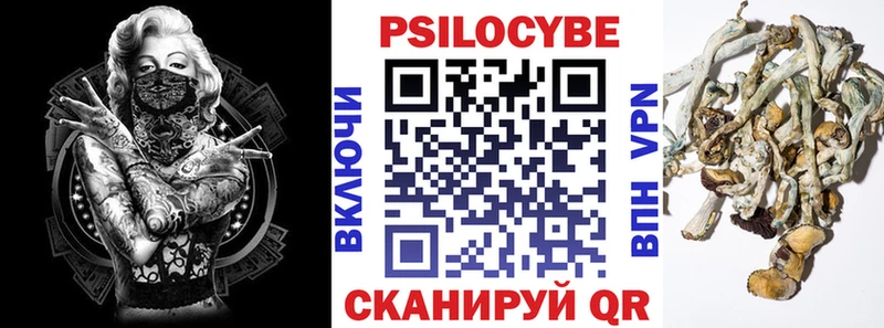 Галлюциногенные грибы Cubensis  Купить где  Кызыл 